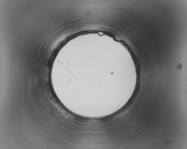 X0000112211067200909041335