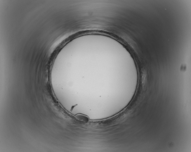 X0000112211069200909041335