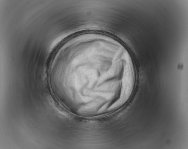 X0000112211070200909041335