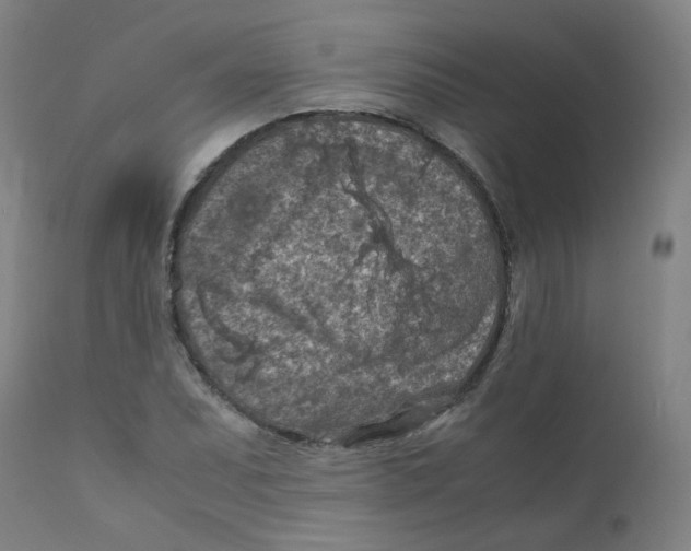 X0000112211071200909041335