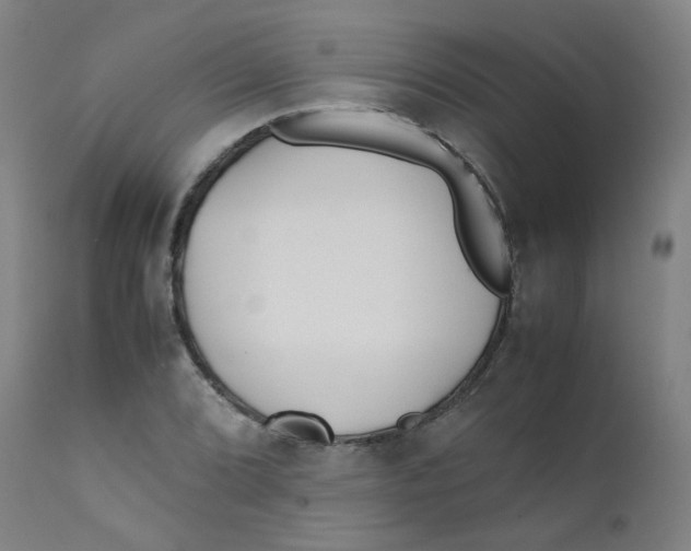 X0000112211072200909041335