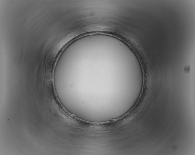 X0000112211073200909041335