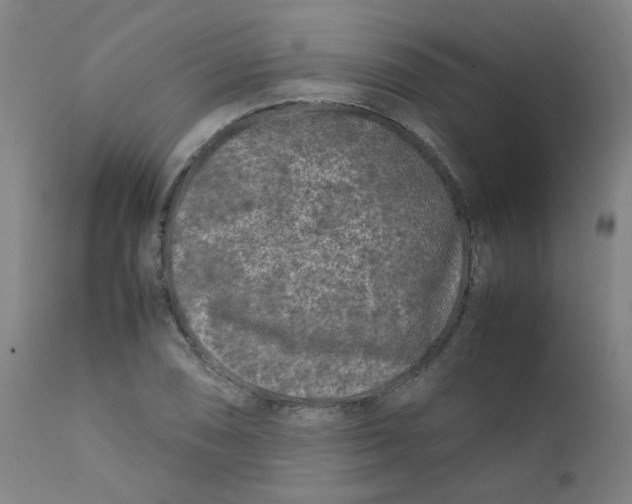 X0000112211074200909041335