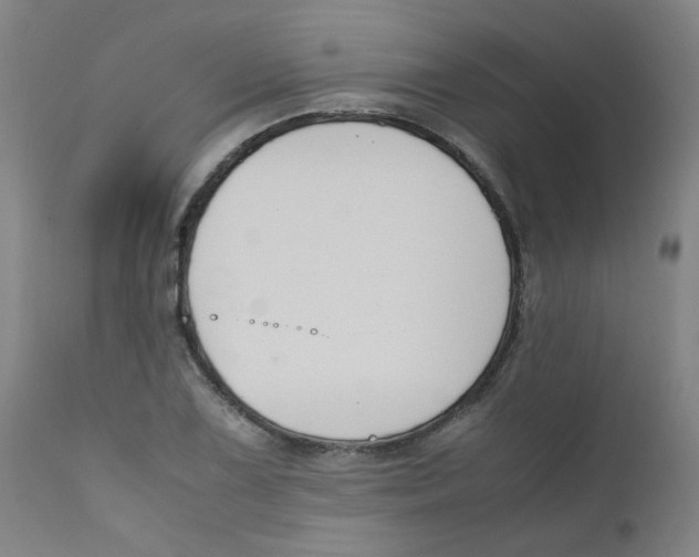 X0000112211075200909041335