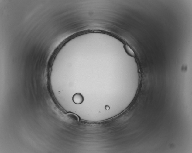 X0000112211076200909041335