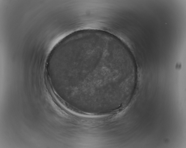 X0000112211077200909041335