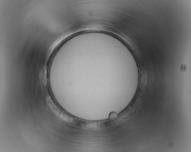 X0000112211078200909041335
