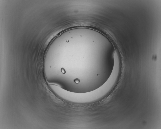 X0000112211081200909041335