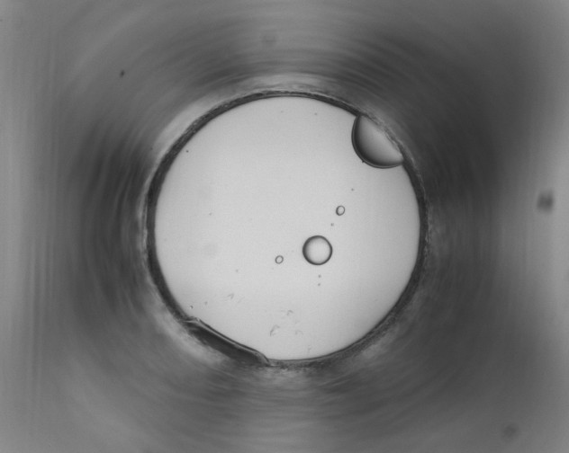 X0000112211082200909041335