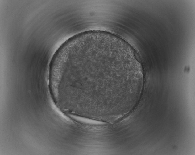 X0000112211084200909041335