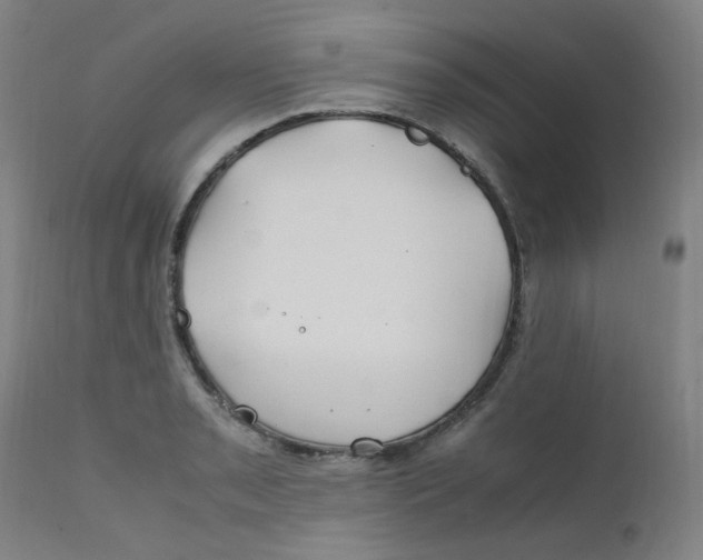 X0000112211085200909041335