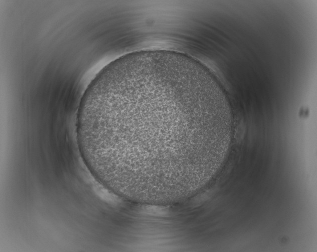 X0000112211086200909041335
