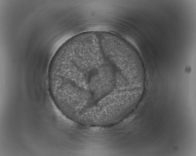 X0000112211087200909041335