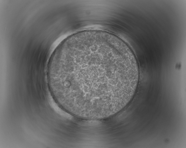 X0000112211090200909041335