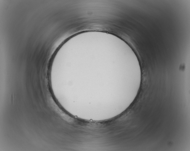 X0000112211091200909041335