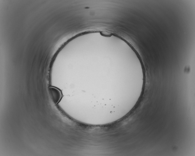 X0000112211093200909041335