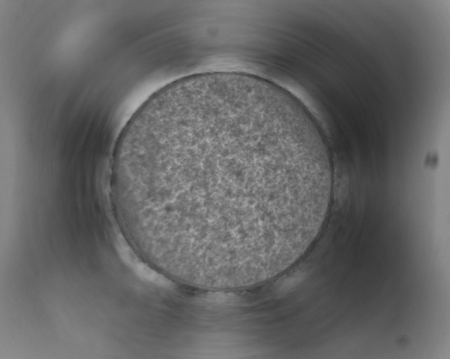 X0000112211094200909041335