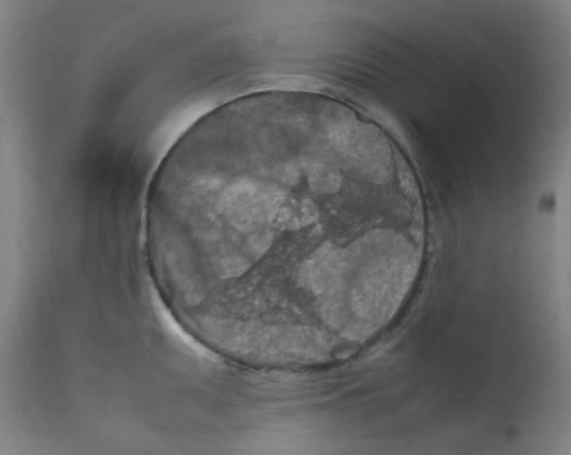 X0000112211095200909041335