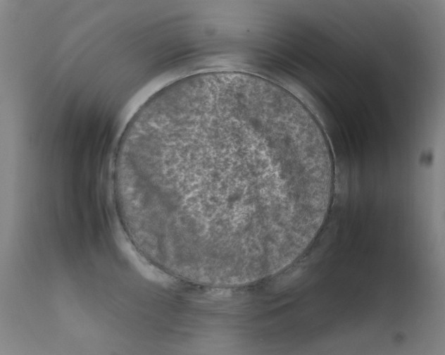 X0000112211098200909041335