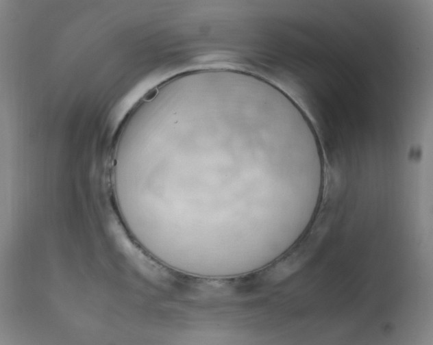X0000112211101200909041335
