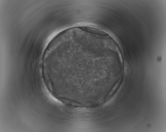 X0000112211102200909041335