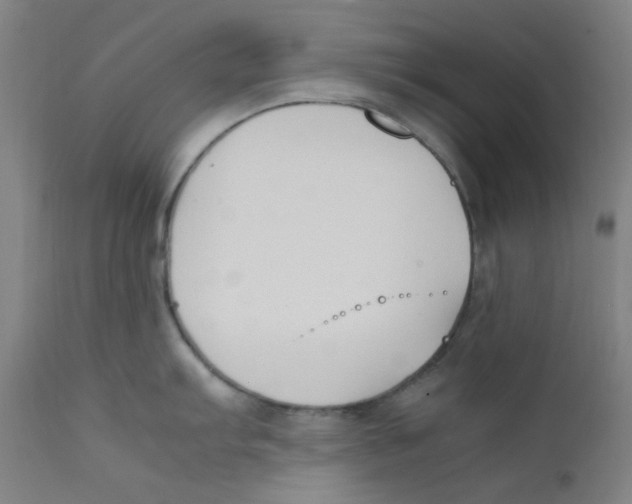 X0000112211103200909041335
