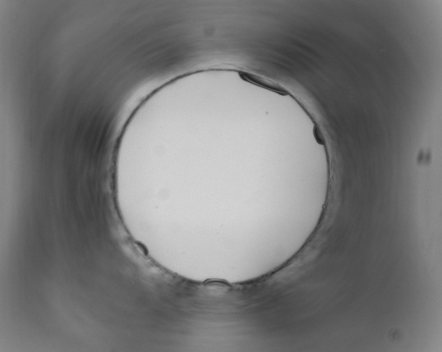 X0000112211104200909041335