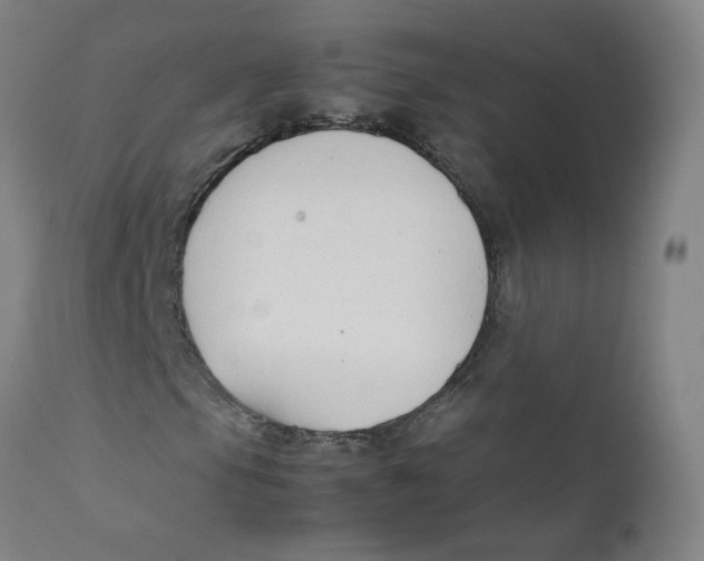 X0000112211105200909041334