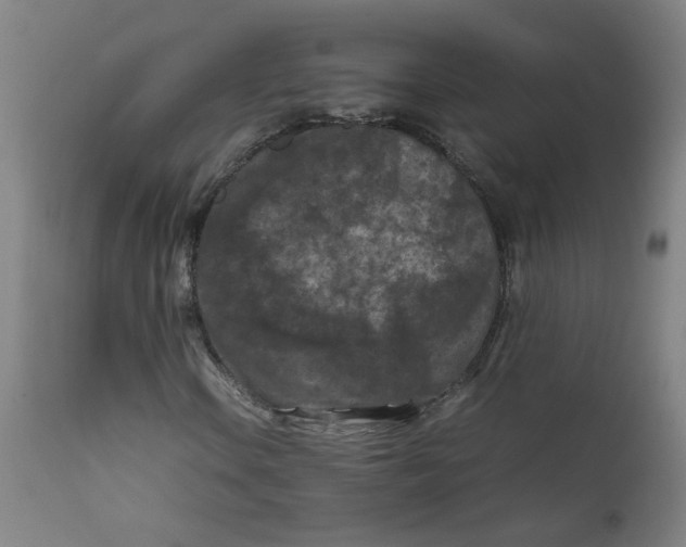 X0000112211106200909041334