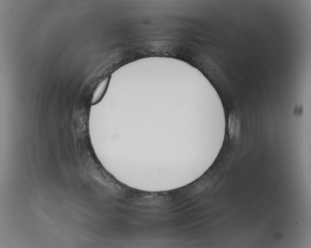 X0000112211107200909041334