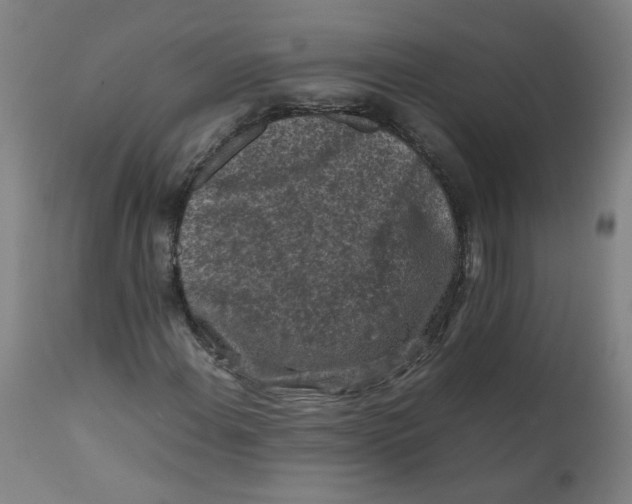 X0000112211108200909041334