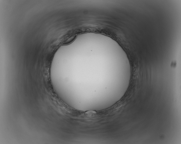 X0000112211109200909041334