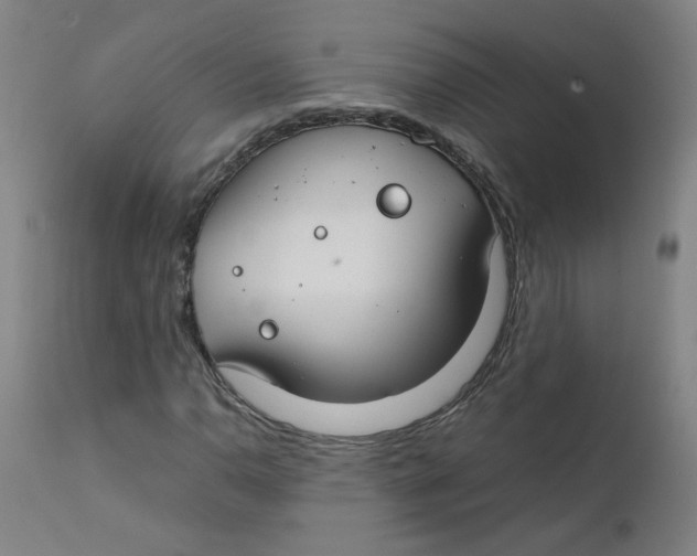 X0000112211110200909041334