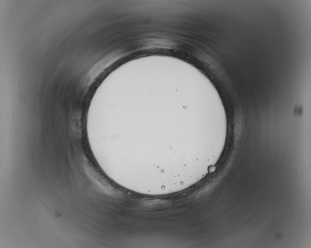 X0000112211113200909041334