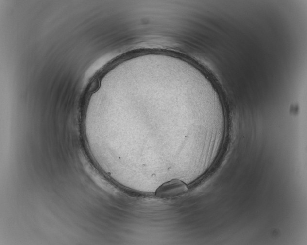 X0000112211114200909041334