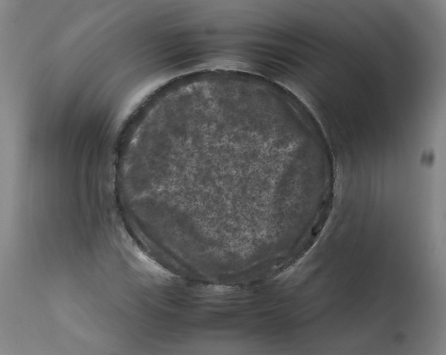 X0000112211115200909041334