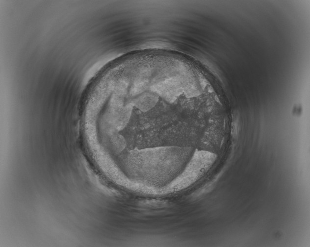 X0000112211117200909041334