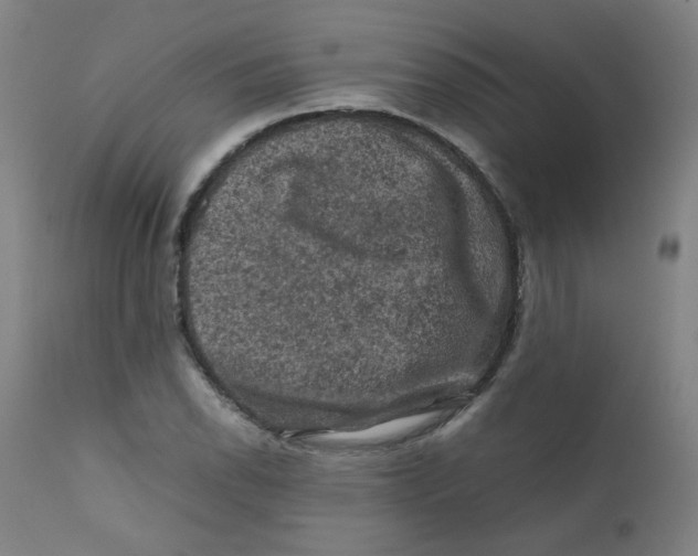 X0000112211118200909041334