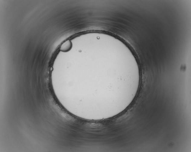 X0000112211119200909041334