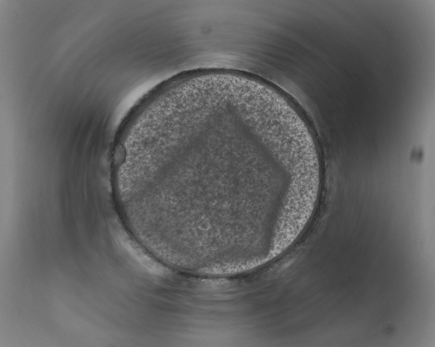 X0000112211120200909041334
