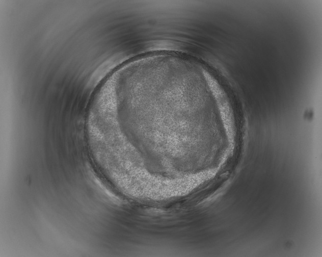 X0000112211121200909041334