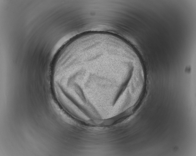 X0000112211122200909041334