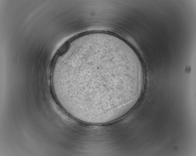 X0000112211124200909041334