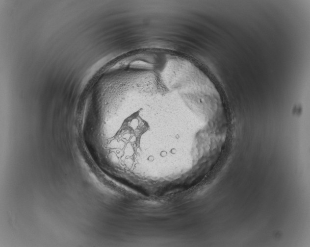X0000112211125200909041334