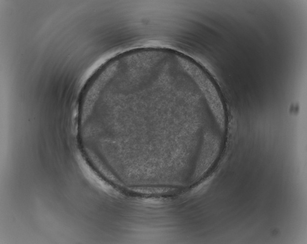 X0000112211126200909041334