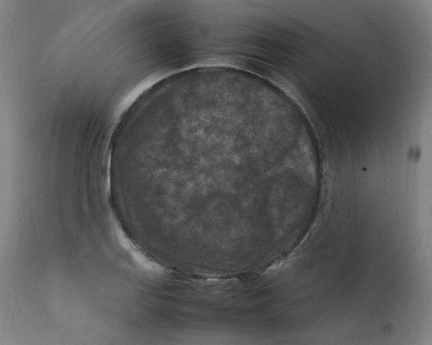 X0000112211127200909041334