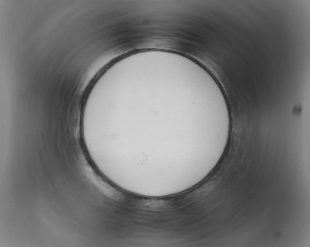 X0000112211131200909041334