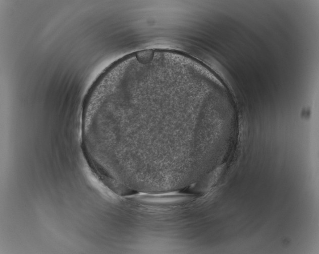 X0000112211132200909041334