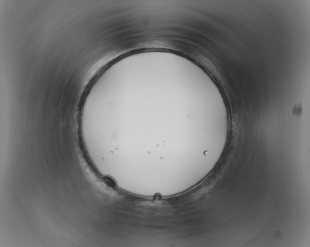X0000112211133200909041334