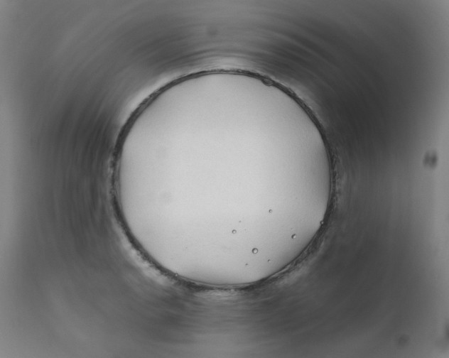 X0000112211134200909041334